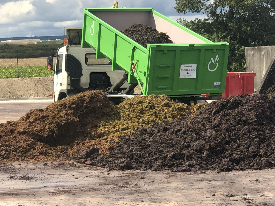 Collecte des marcs des pressoirs, vendanges en Champagne